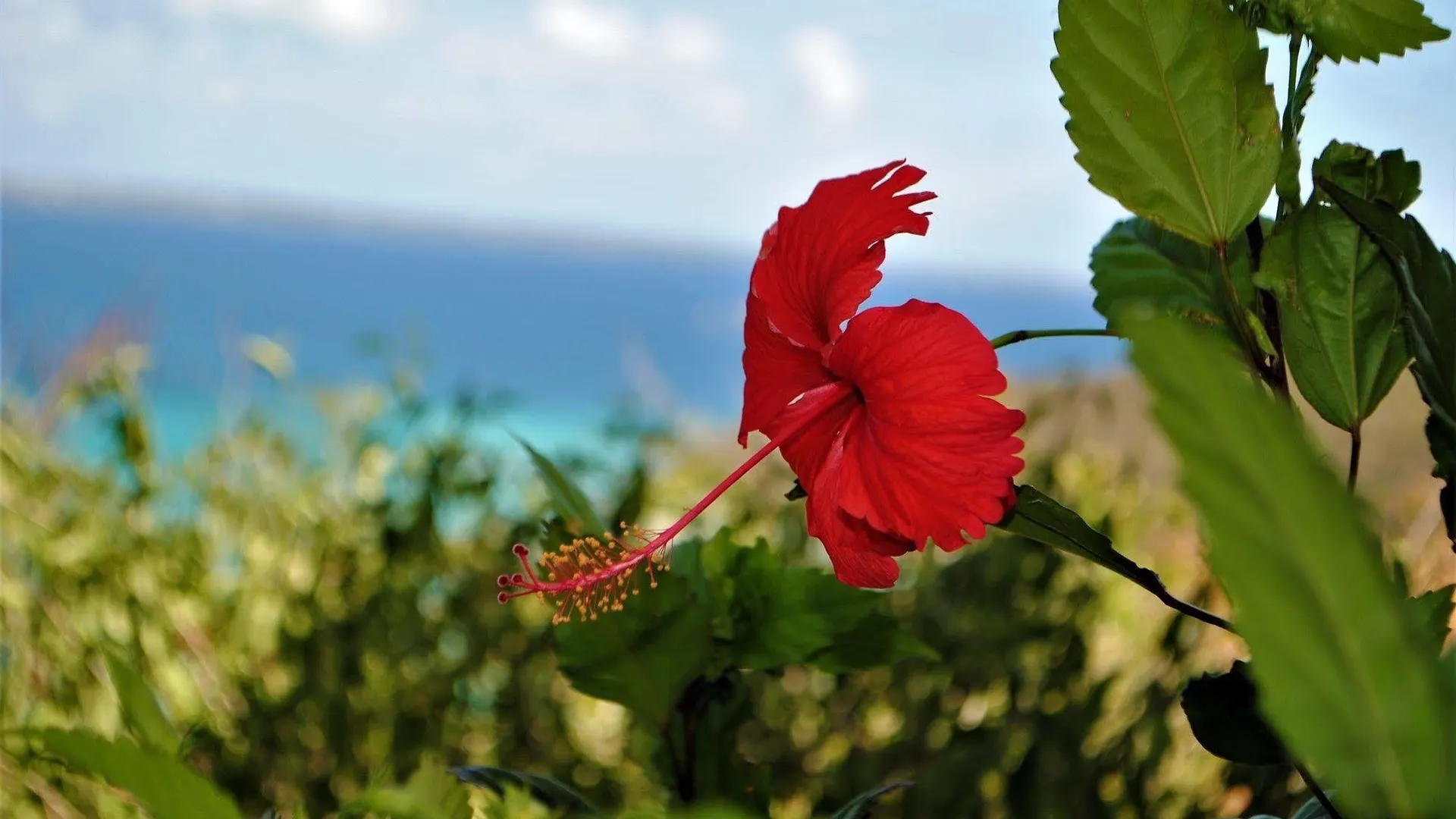 Marquis Boutique Hotel Anse Marcel 4*,