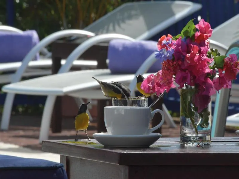 Marquis Boutique Hotel Anse Marcel